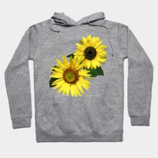 Two Sunflowers, The Same Yet Different Hoodie